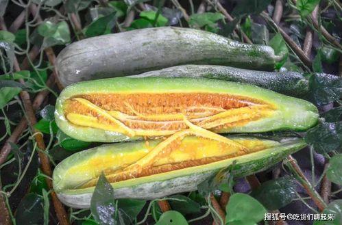 网红小鱼棠最新吃瓜,揭秘娱乐圈幕后真相 第2张 网红小鱼棠最新吃瓜,揭秘娱乐圈幕后真相 第2张