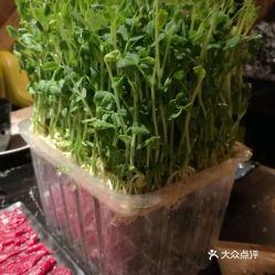 潮汕小豆苗爆料视频,揭秘潮汕美食背后的故事